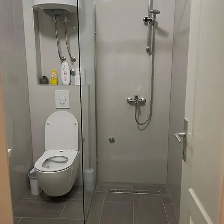 Apartment Santic *